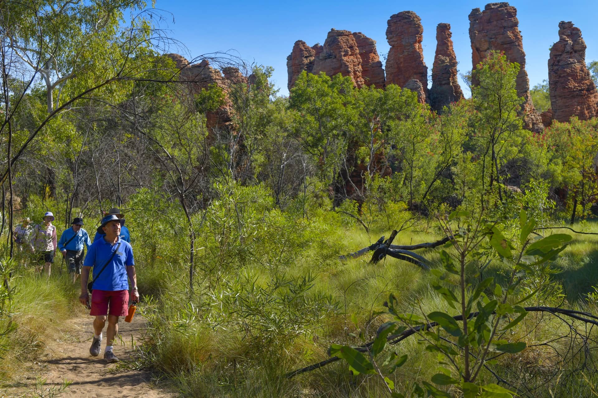 outback spirit tours savannah way