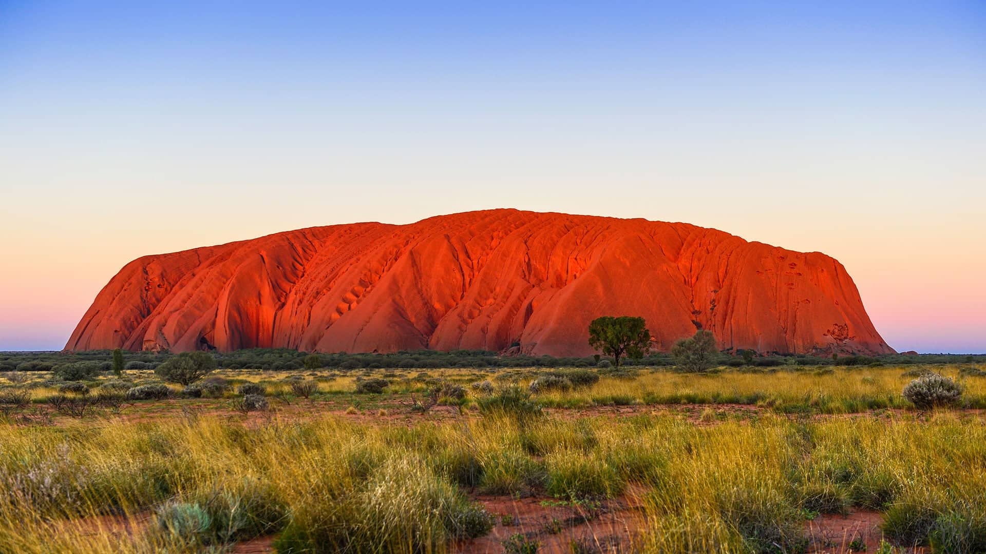 tourism central australia daniel