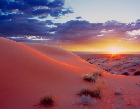 Simpson Desert Tours