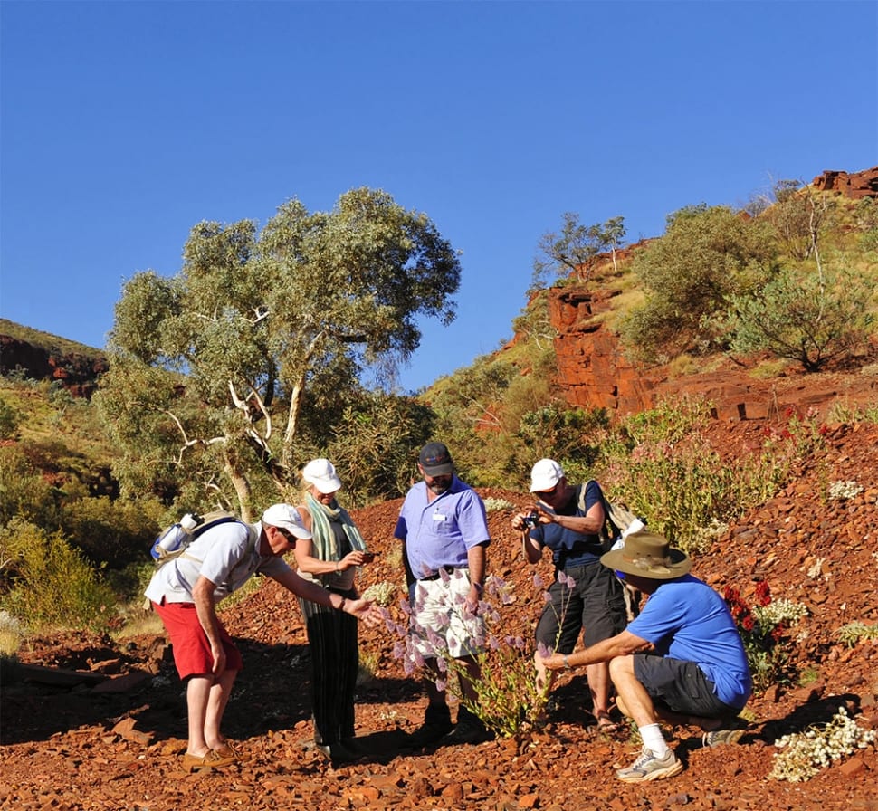 Pilbara & West Coast Expedition Tour Outback Spirit Tours