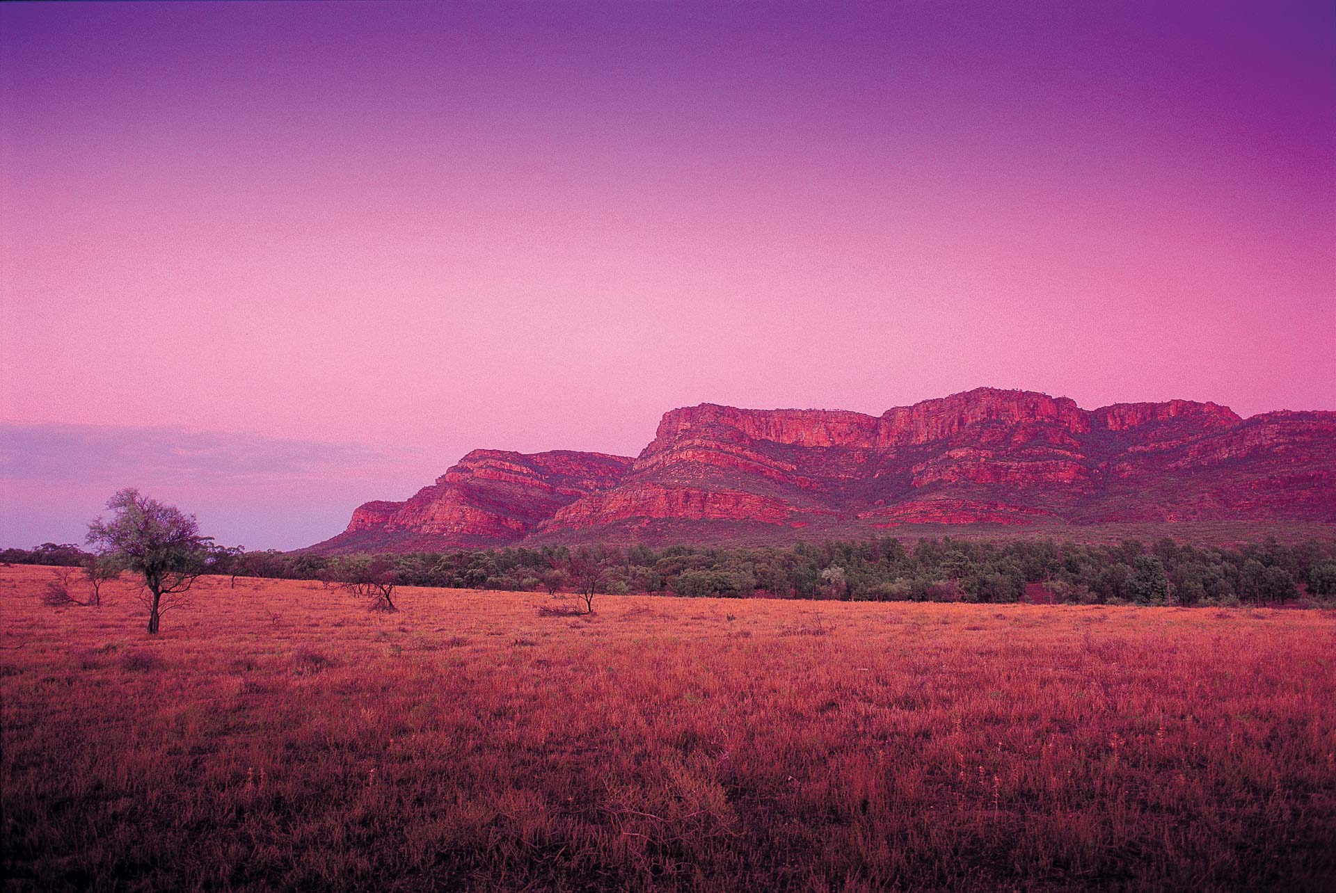 south australian outback tours