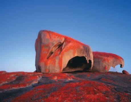 south australia tours outback spirit tours