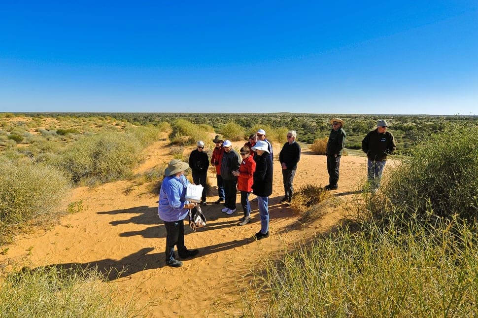 scenic tours south australia